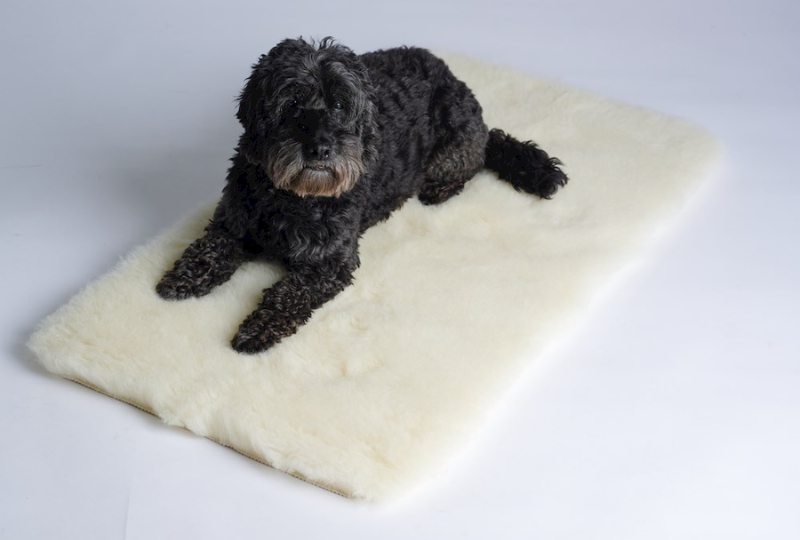 wool pet bed